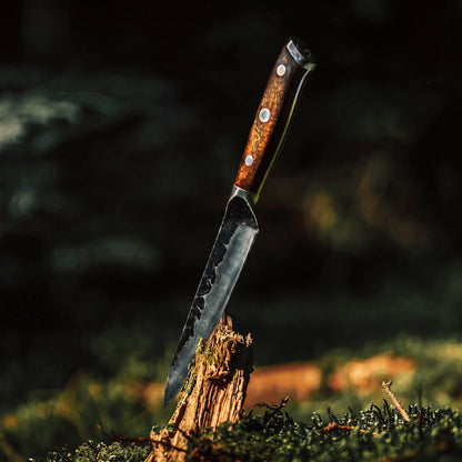 Dynasty™ Hand-Forged Paring Knife